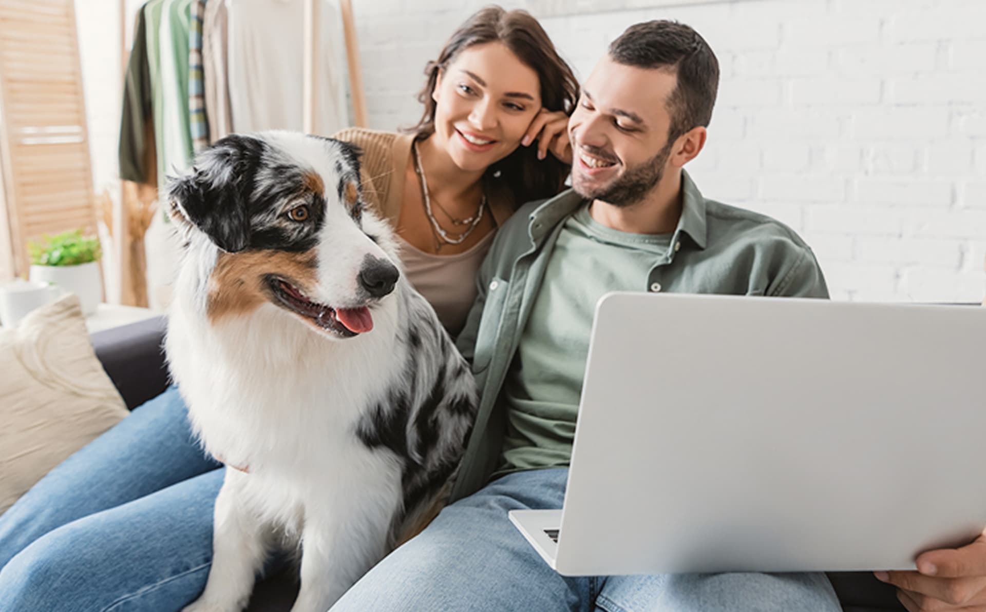 VIRTUAL VETDOC hero